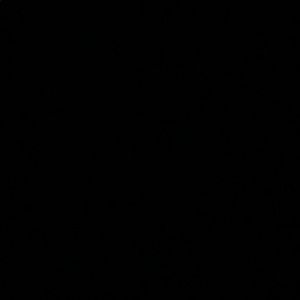 Meet your Posher, Lorissa